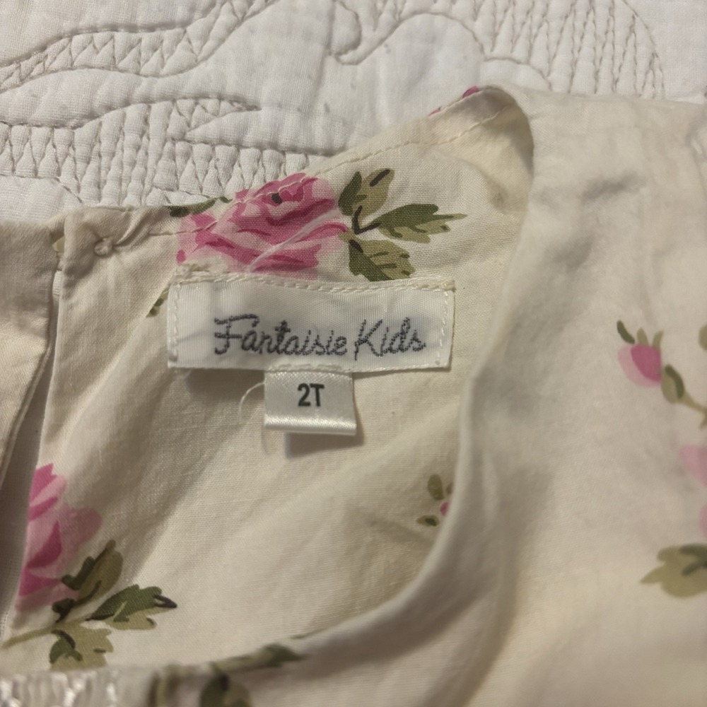Fantasie Kids Girls 2T A-line Dress Sleeveless Cream Pink Floral Print Ruffles - Picture 5 of 6